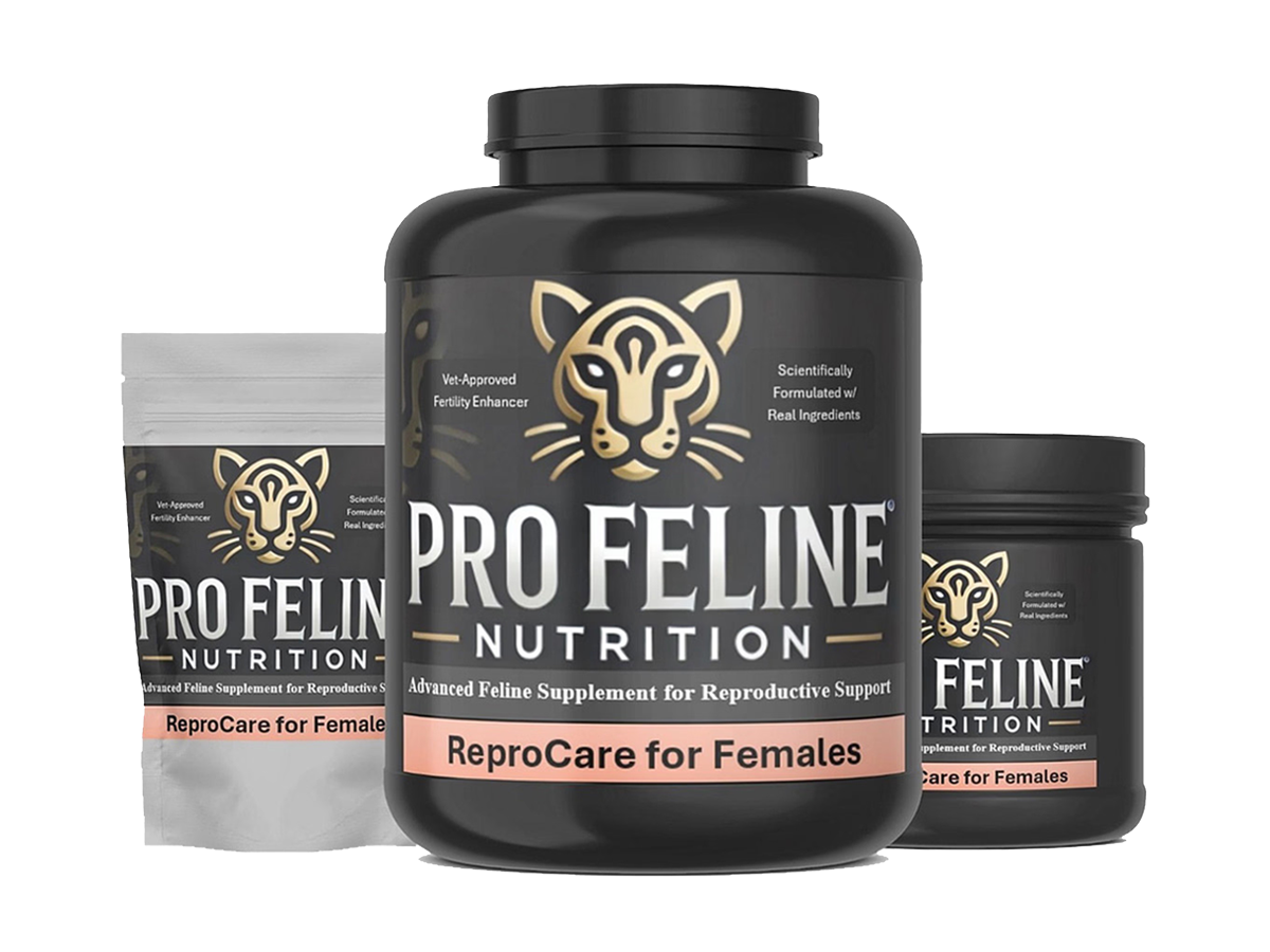 ReproCare for Females