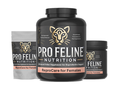 ReproCare for Females